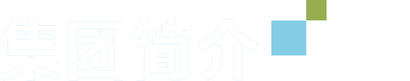 集團簡介
